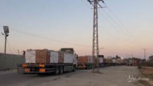 Gaza, dopo 40 giorni riprendono gli export agricoli