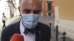 Ddl Zan, Pillon: “La Commissione Giustizia acquisisca la missiva del Vaticano”