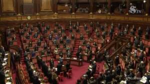 senato