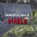 Irriducibile – L’ultimo giorno di Diablo:  la storia di Fabrizio Piscitelli tra tifo calcistico e attività illegali