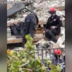 Crollo Miami: il cane Oreo in cerca di superstiti