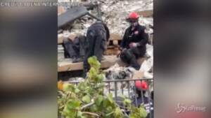 Crollo Miami: il cane Oreo in cerca di superstiti
