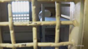 Caserta, 52 misure cautelari per violenze in carcere