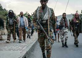 Ethiopie: Situation humanitaire “alarmante” au Tigré (ONU)