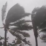Cuba, 180mila evacuati per la tempesta tropicale Elsa