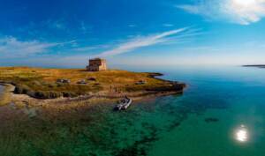 Greenpeace: dal Tirreno all'Adriatico, i cambiamenti climatici minacciano anche la biodiversità dei nostri mari