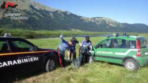 Ambiente, 3200 controlli dei forestali e 281 multe in sei mesi