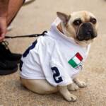 Italy v England - UEFA Euro 2020 Final - Wembley Stadium
