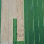 Euro2020, a Verona una coppa grande 20mila metri quadrati disegnata in un campo