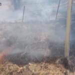 California, divampa incendio vicino allo Yosemite National Park