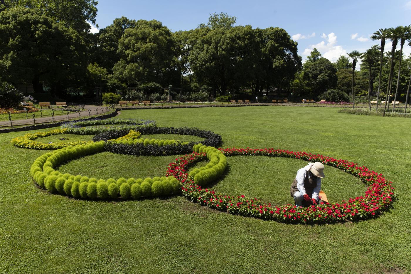 Tokyo 2020, 15 positivi nel villaggio olimpico: nessun atleta contagiato Tokyo 2020, 15 positivi nel villaggio olimpico: nessun atleta contagiato