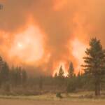 Incendi in California, nuove evacuazioni sul Lago Tahoe