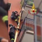 Milano, cagnolino sospeso nel vuoto: salvato dai vigili del fuoco