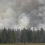 California, vasto incendio nella Sierra Nevada: evacuate abitazioni