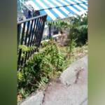 Capri, precipita minibus: un morto e 28 feriti