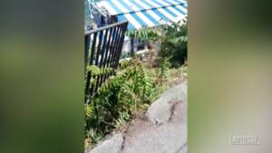 Capri, precipita minibus: un morto e 28 feriti