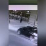 Voghera, il video in cui la vittima colpisce l’assessore: il momento prima della sparatoria