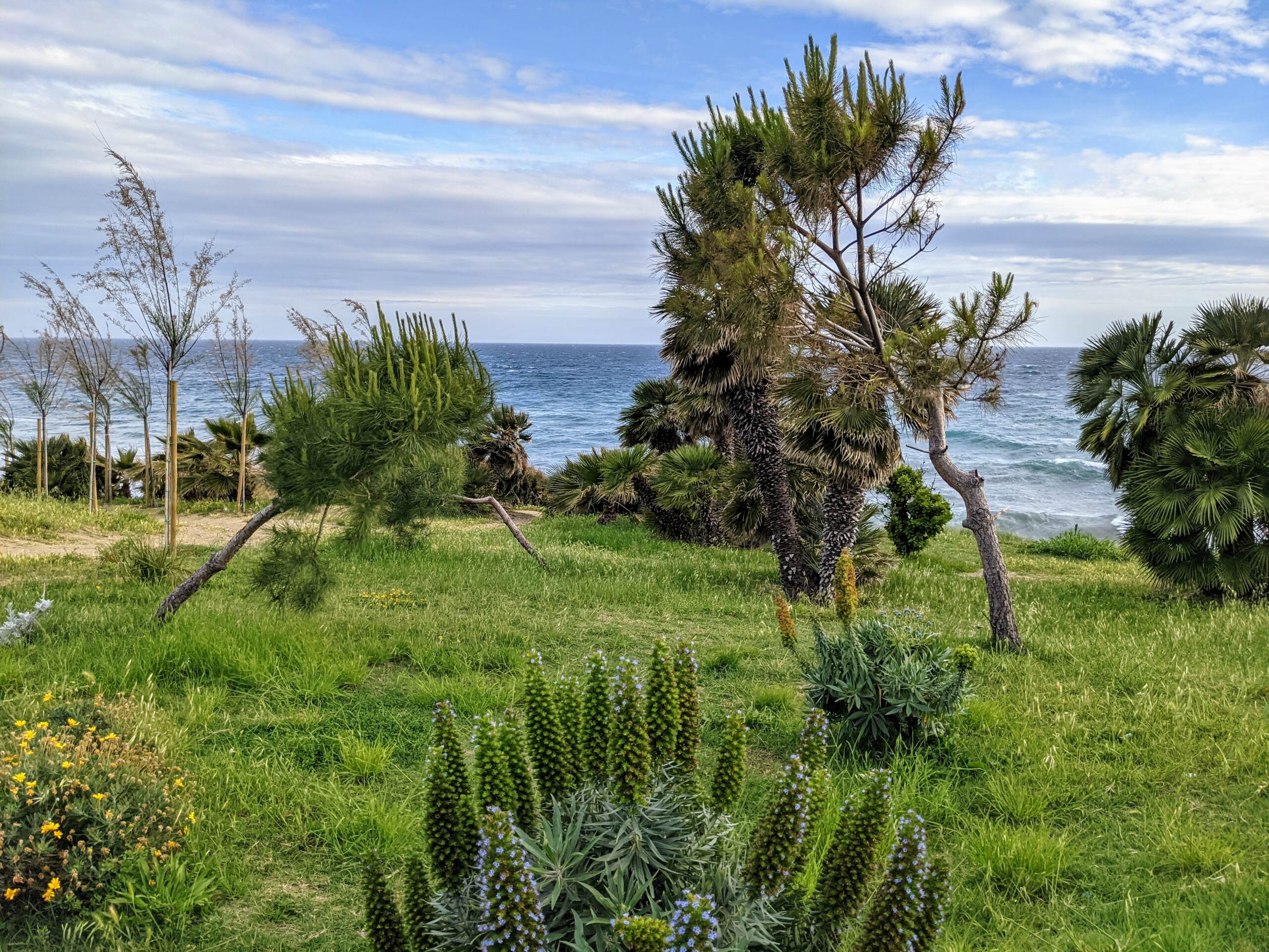 Buona estate! Tra bounganvillea e agapanthus, la nostra rubrica si prende una pausa