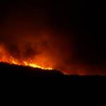 Incendi, la Sardegna dichiara lo stato di calamità