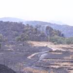 Roghi in Sardegna, si contano i danni