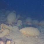 Sicilia, nave romana ritrovata a 92 metri di profondità nelle acque dell’Isola delle Femmine