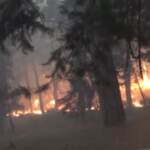 Turchia, incendio vicino a Manavgat: almeno tre morti