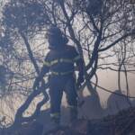 Incendi, le mani dei piromani negli oltre 110 roghi in Sicilia