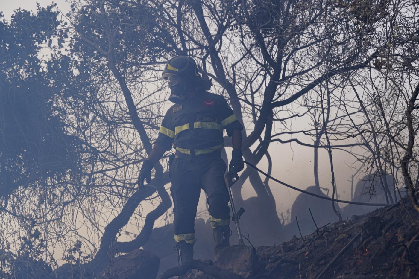 Incendi, le mani dei piromani negli oltre 110 roghi in Sicilia