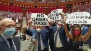 protesta fratelli d'italia