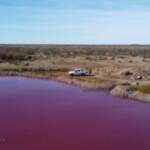 Patagonia, la laguna di Corfo si tinge di rosa per i rifiuti