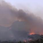 Emergenza incendi, brucia la Sicilia