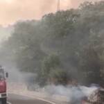 Incendi in Sicilia: in arrivo aiuti da altre regioni, Draghi firma dpcm