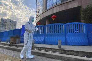 WHO China Virus Origins