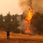 Grecia, i vigili del fuoco combattono con le fiamme sull’isola di Evia