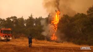 Grecia, i vigili del fuoco combattono con le fiamme sull’isola di Evia