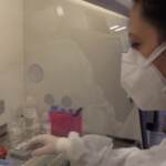 Covid, indice Rt in calo: è a 1,56. Aumentano ricoveri in terapia intensiva