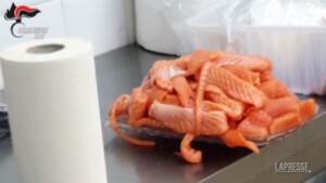 Reggio Calabria, carabinieri Nas sequestrano 500 kg di pesce per sushi