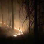 Incendi in California, centinaia di case minacciate dalle fiamme