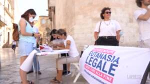 Eutanasia legale, l’appello della 45enne con la sclerosi multipla: “Voglio poter scegliere”