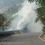 Incendi, salgono le vittime in Calabria: chiesto lo stato di emergenza. Allarme in Sicilia
