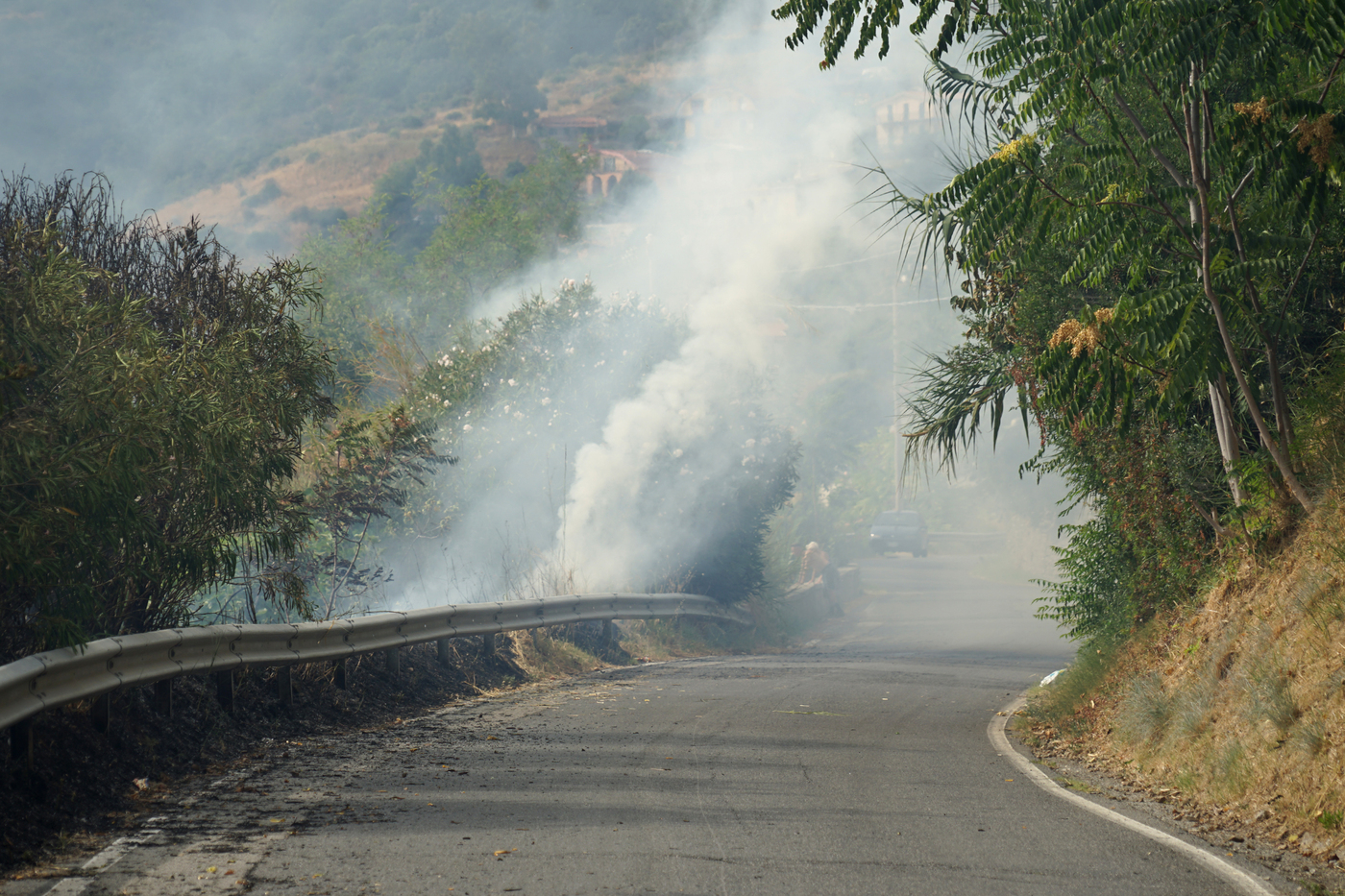 Incendi, salgono le vittime in Calabria: chiesto lo stato di emergenza. Allarme in Sicilia Incendi, salgono le vittime in Calabria: chiesto lo stato di emergenza. Allarme in Sicilia