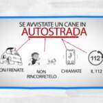 Cosa fare se si trova un cane smarrito: il video-vademecum dell’Enpa