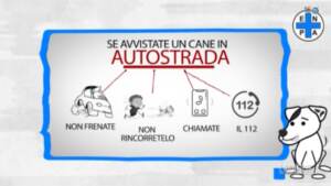 Cosa fare se si trova un cane smarrito: il video-vademecum dell’Enpa