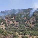 Incendi, è ancora emergenza nel Palermitano