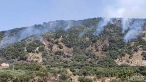 Incendi, è ancora emergenza nel Palermitano