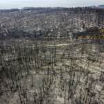 Clima, ancora incendi da coste Mediterraneo a Siberia. In Algeria 65 morti