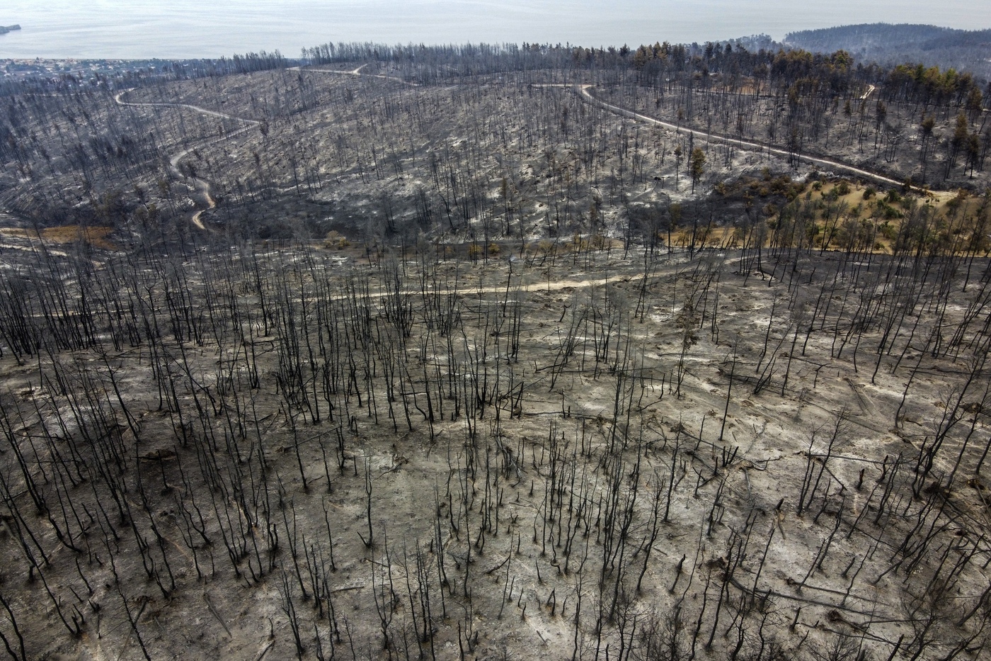 Clima, ancora incendi da coste Mediterraneo a Siberia. In Algeria 65 morti