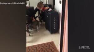 Federica Pellegrini torna a casa, i suoi cani impazziscono di gioia