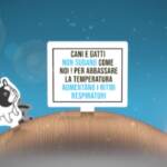 Allarme caldo, i consigli di Enpa per proteggere gli animali