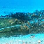 Sicilia, ritrovato rostro della Prima Guerra Punica nel mare al largo di Levanzo